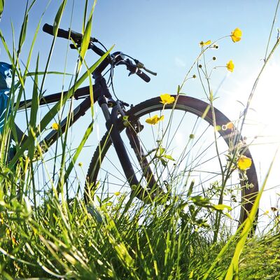 Trekkingbike Pause im Gegenlicht